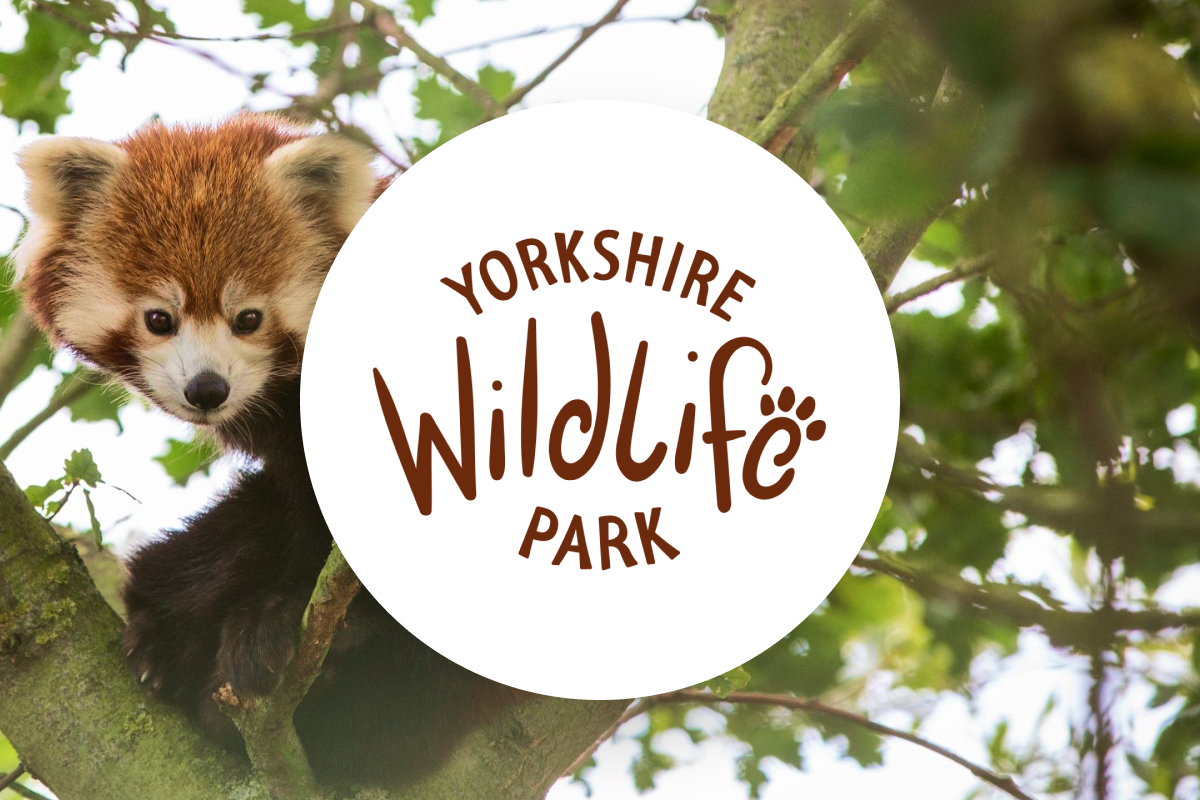 Attractions.io welcomes Yorkshire Wildlife Park! — Attractions.io Blog